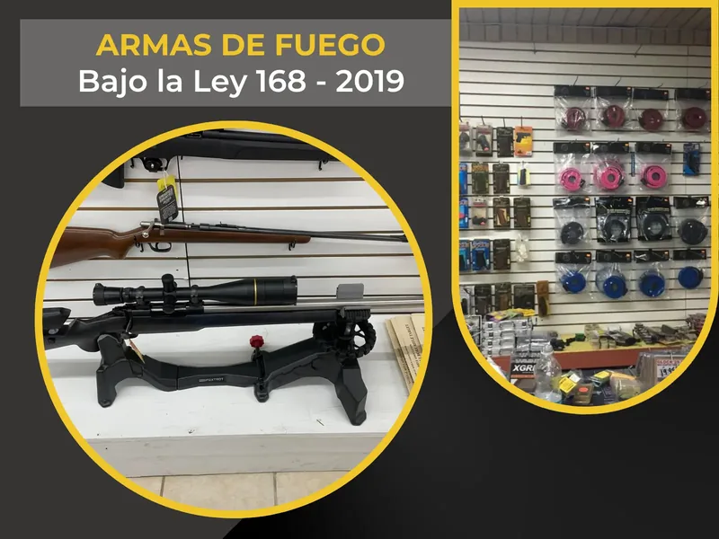 Armas de fuego bajo la Ley 168-2019